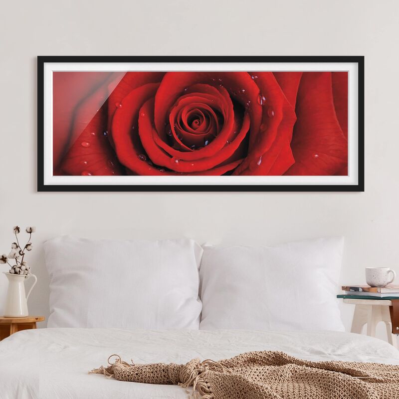 

Póster enmarcado - Rosa Rossa Con Gocce D'Acqua Dimensión LxA: 30cm x 75cm, Marco: Negro