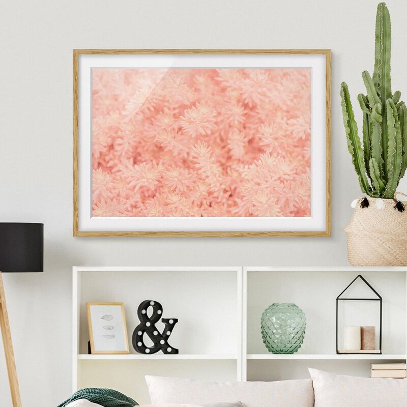

Póster enmarcado - Rosemary Rosa Dimensión LxA: 70cm x 100cm, Marco: Roble