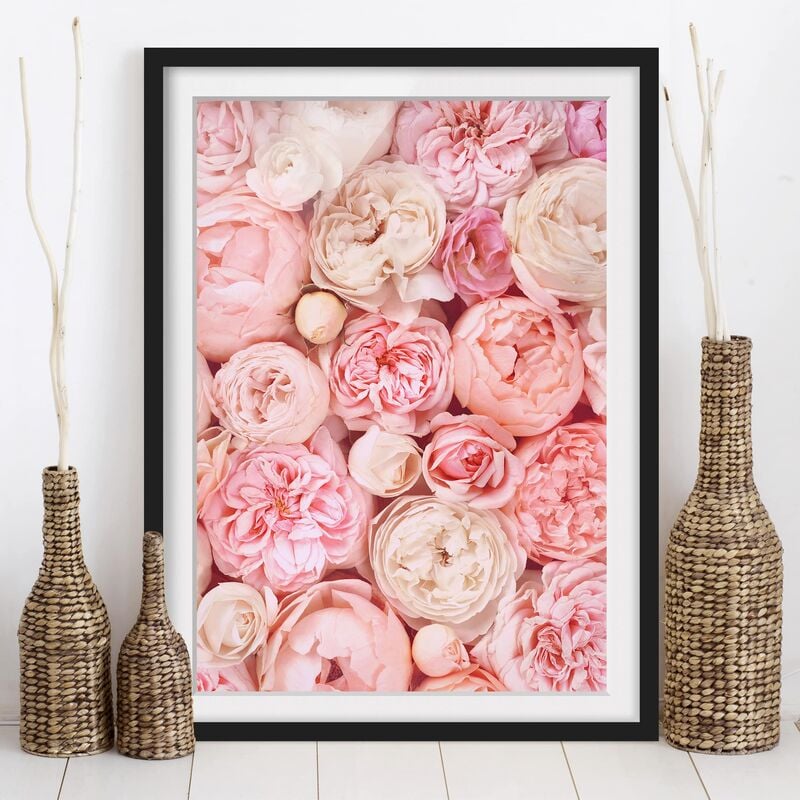 

Póster enmarcado - Rose Rose Coral Shabby Dimensión LxA: 55cm x 40cm, Marco: Negro