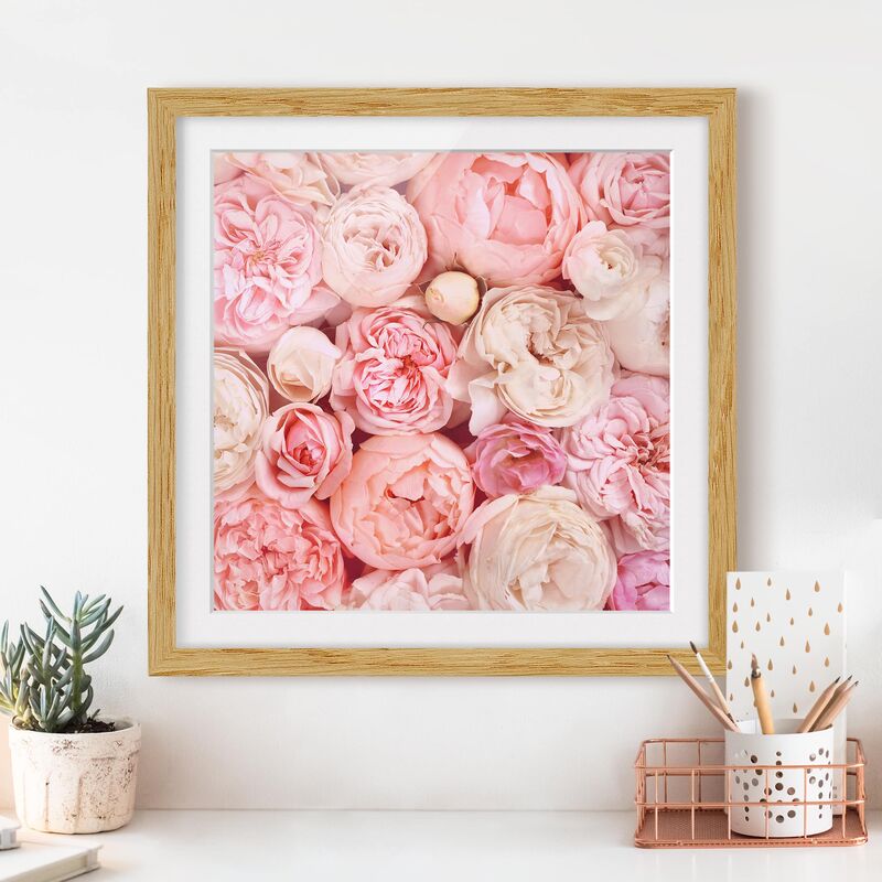

Póster enmarcado - Rose Rose Coral Shabby Dimensión LxA: 30cm x 30cm, Marco: Roble