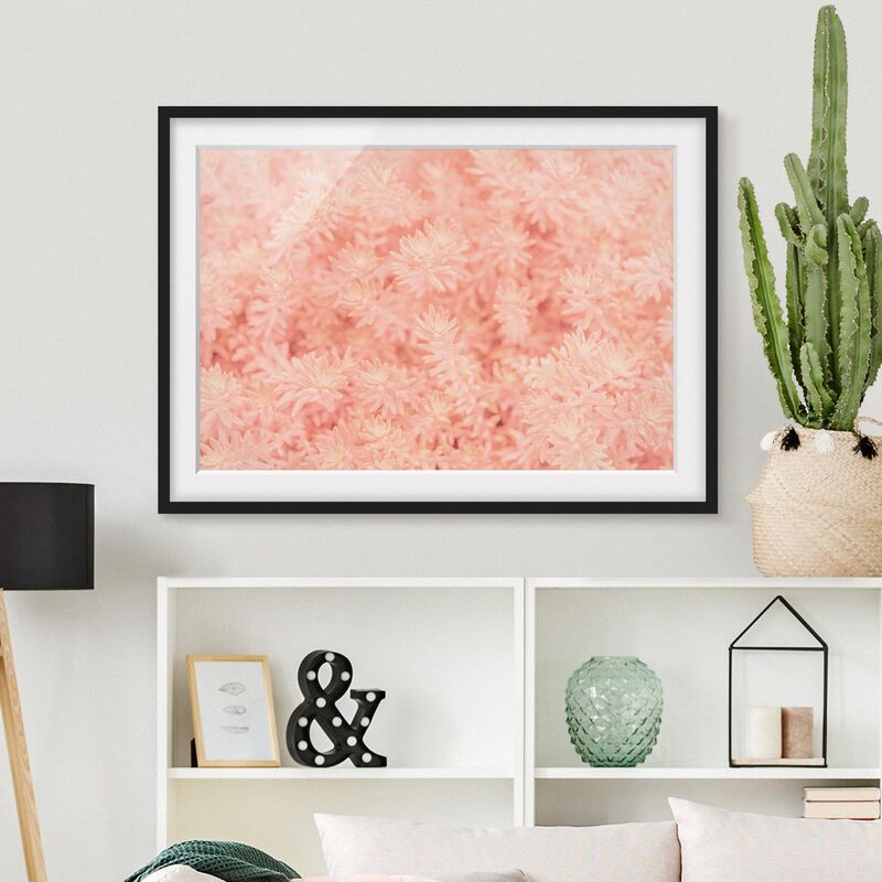 

Póster enmarcado - Rosemary Rosa Dimensión LxA: 40cm x 55cm, Marco: Negro