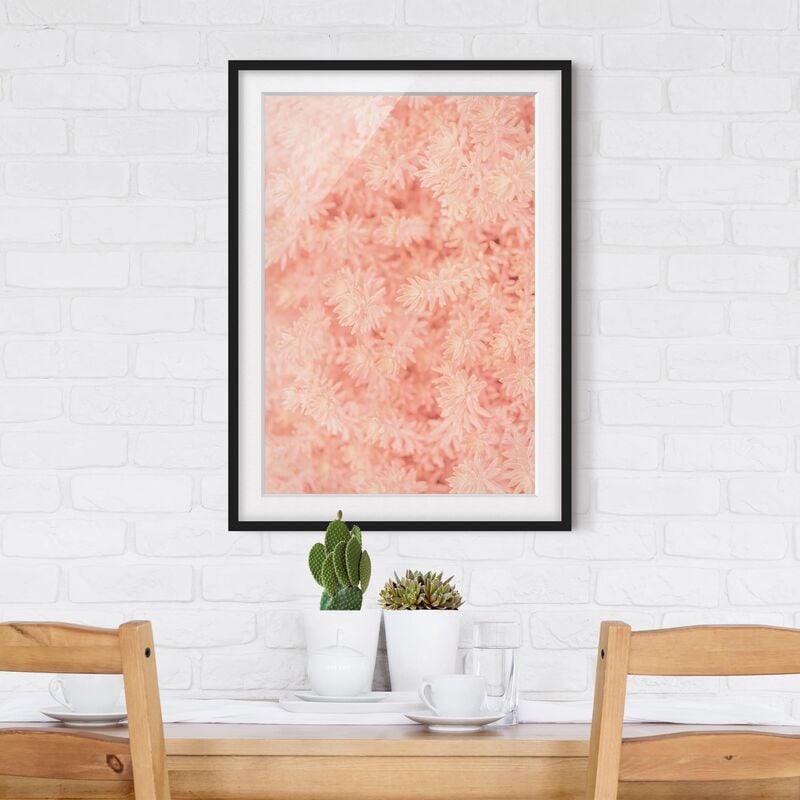 

Póster enmarcado - Rosemary Rose Dimensión LxA: 70cm x 50cm, Marco: Negro