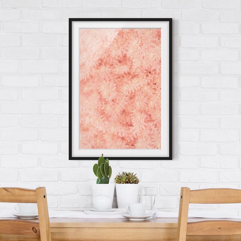 

Póster enmarcado - Rosemary Rose Dimensión LxA: 24cm x 18cm, Marco: Negro