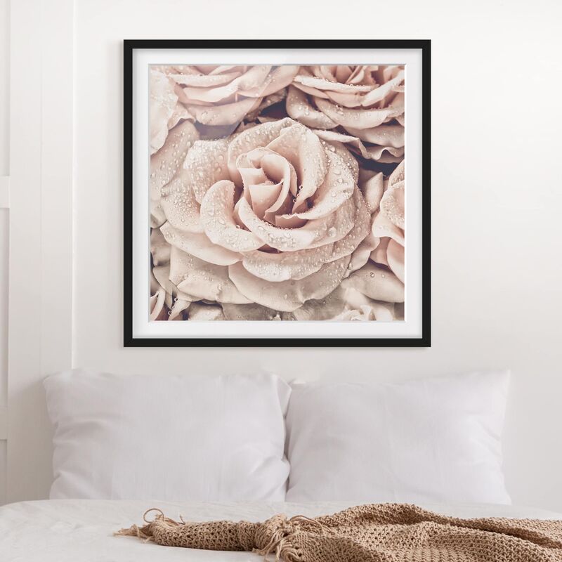 

Póster enmarcado - Roses seppia con gocce d'acqua Dimensión LxA: 50cm x 50cm, Marco: Negro
