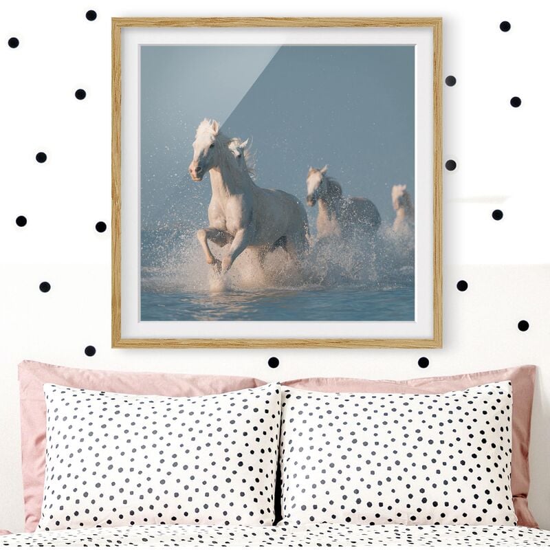 

Póster enmarcado - Schimmel Flock Dimensión LxA: 70cm x 70cm, Marco: Roble