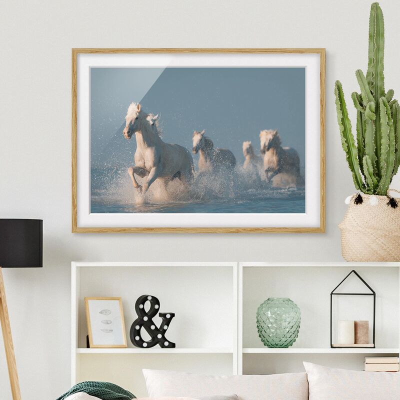

Póster enmarcado - Schimmel Herd Dimensión LxA: 70cm x 100cm, Marco: Roble