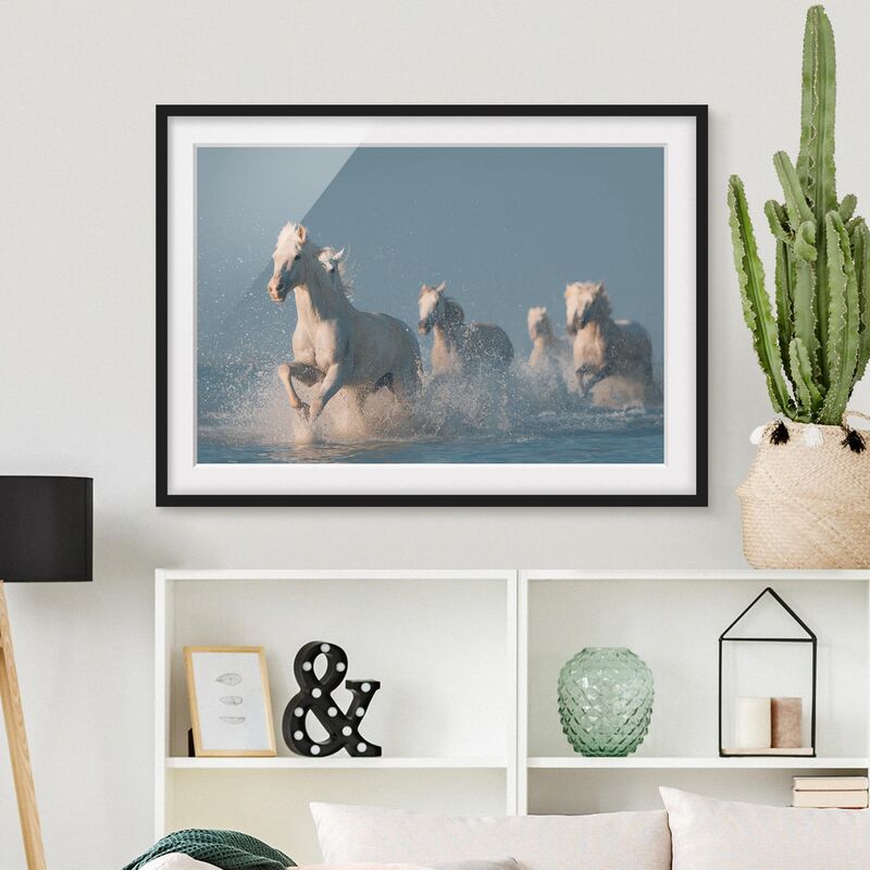 

Póster enmarcado - Schimmel Herd Dimensión LxA: 70cm x 100cm, Marco: Negro