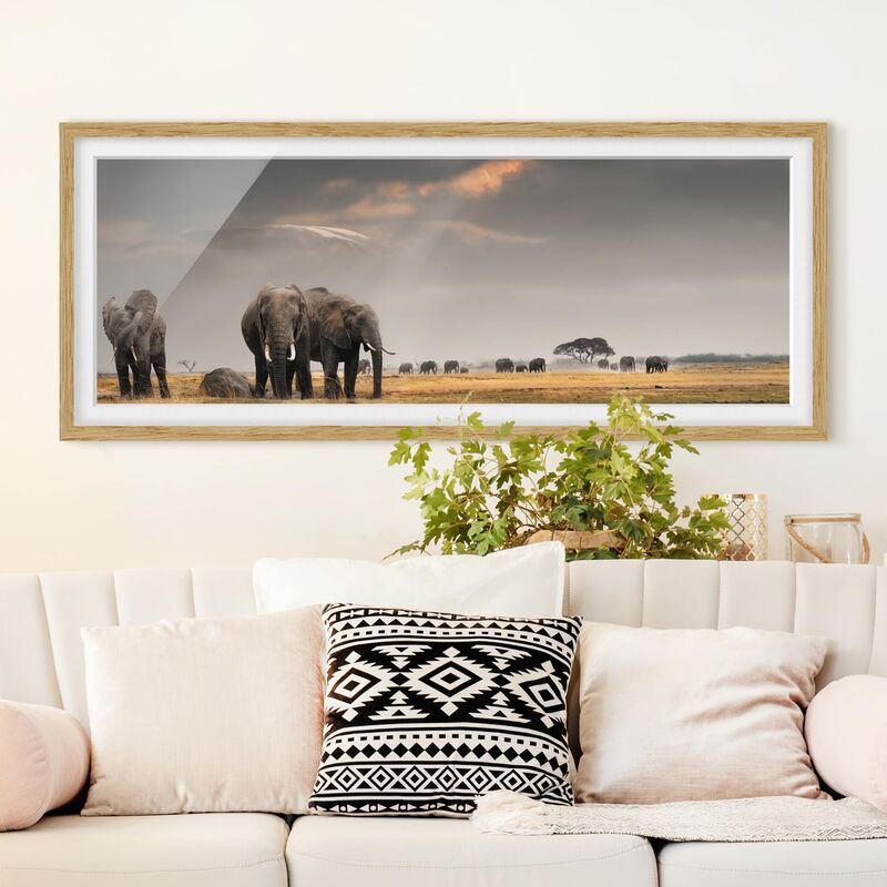 

Póster enmarcado - Savana Elefante Dimensión LxA: 50cm x 130cm, Marco: Roble