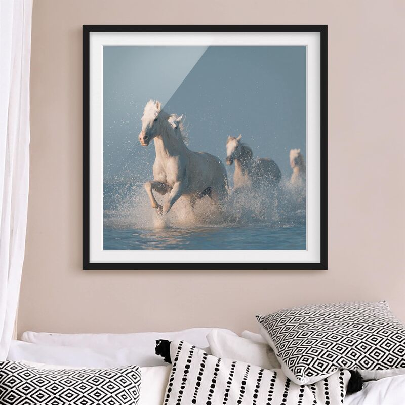 

Póster enmarcado - Schimmel Flock Dimensión LxA: 70cm x 70cm, Marco: Negro
