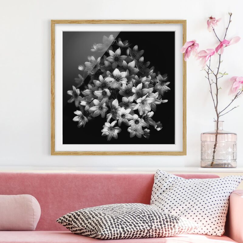 

Póster enmarcado - Scuro Clematis Strauss Dimensión LxA: 30cm x 30cm, Marco: Roble