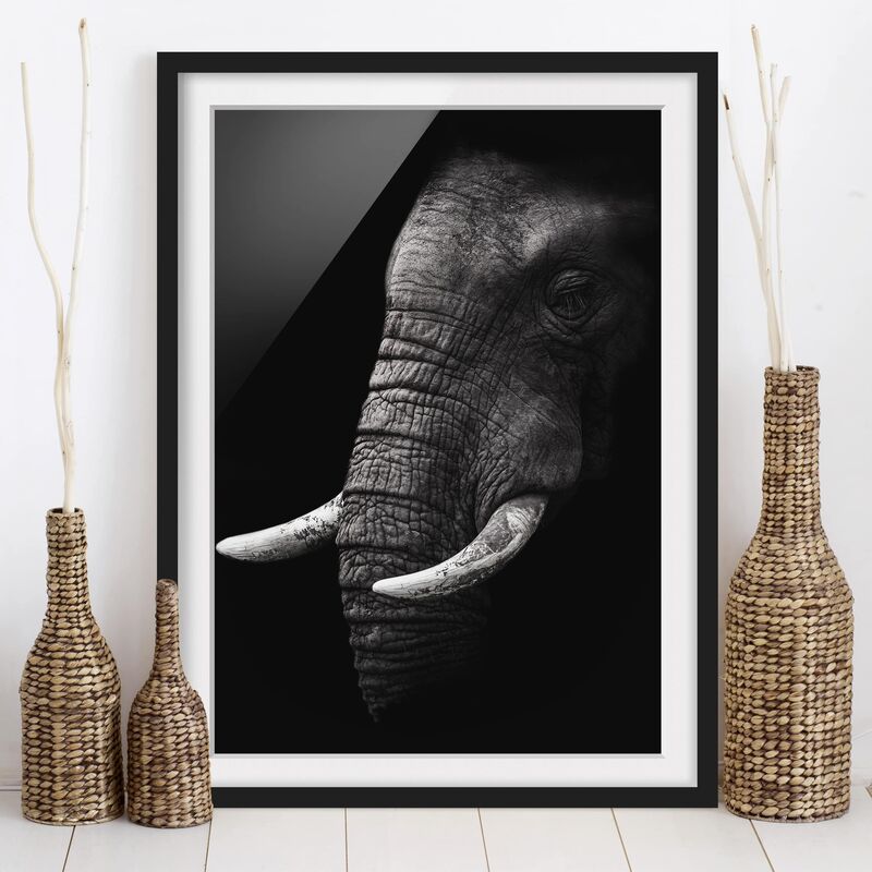 

Póster enmarcado - Scuro Elephant Portrait Dimensión LxA: 24cm x 18cm, Marco: Negro