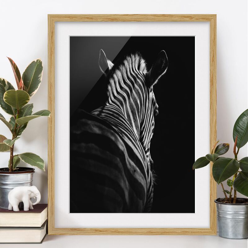 

Póster enmarcado - Scuro silhouette zebra Dimensión LxA: 24cm x 18cm, Marco: Roble