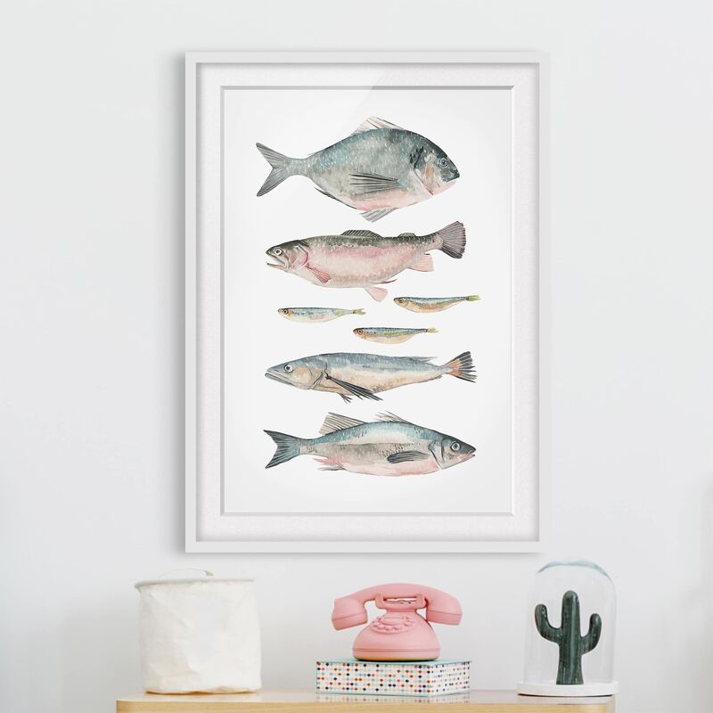 

Póster enmarcado - Sette Pesci In Acquerello Ii Dimensión LxA: 70cm x 50cm, Marco: Roble