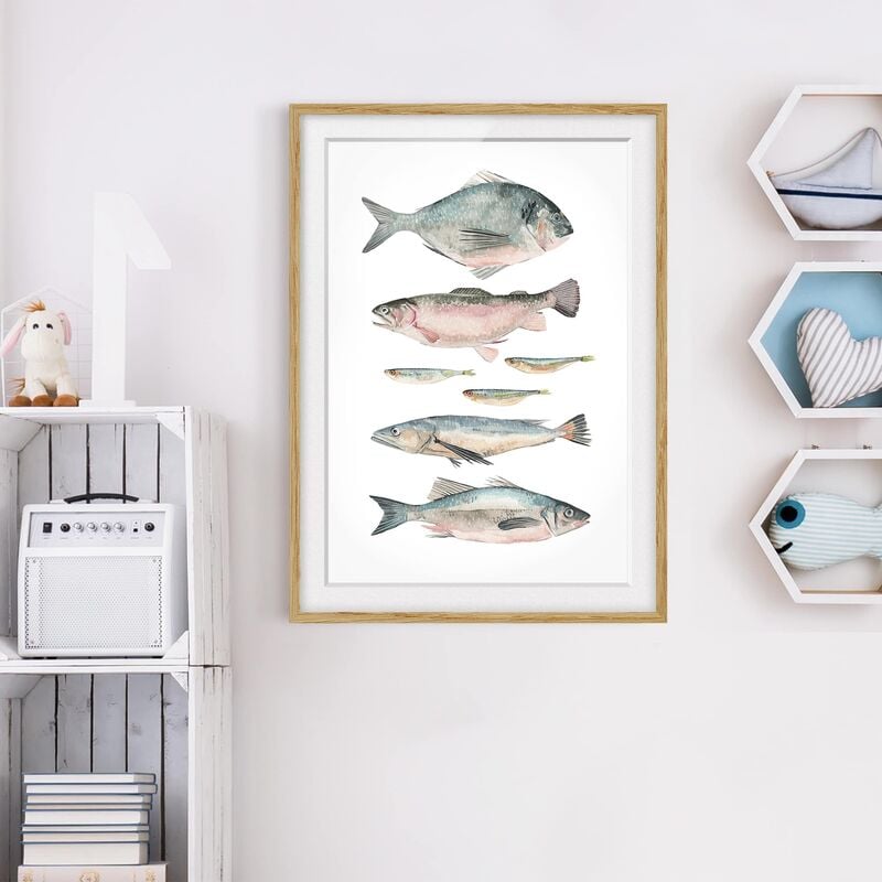 

Póster enmarcado - Sette Pesci In Acquerello Ii Dimensión LxA: 40cm x 30cm, Marco: Roble