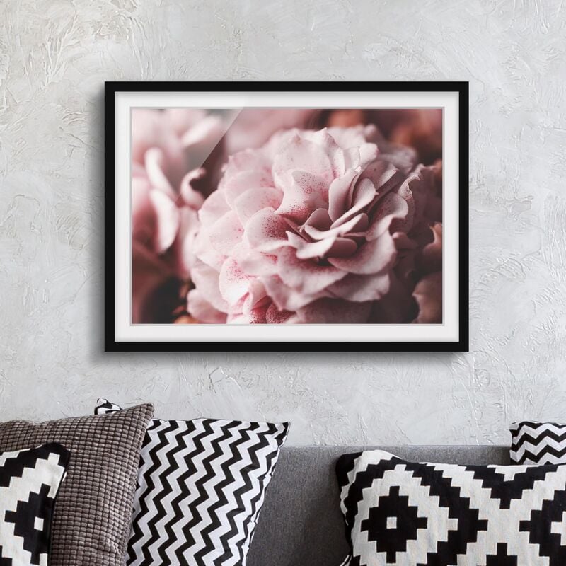 

Póster enmarcado - Shabby Pink Rose pastello Dimensión LxA: 70cm x 100cm, Marco: Negro