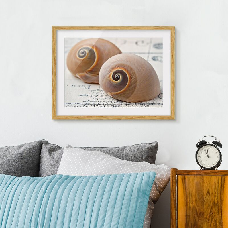 

Póster enmarcado - Shell Duo Dimensión LxA: 70cm x 100cm, Marco: Roble