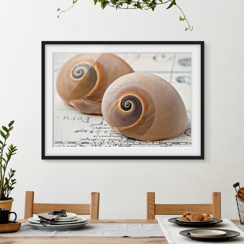 

Póster enmarcado - Shell Duo Dimensión LxA: 30cm x 40cm, Marco: Negro
