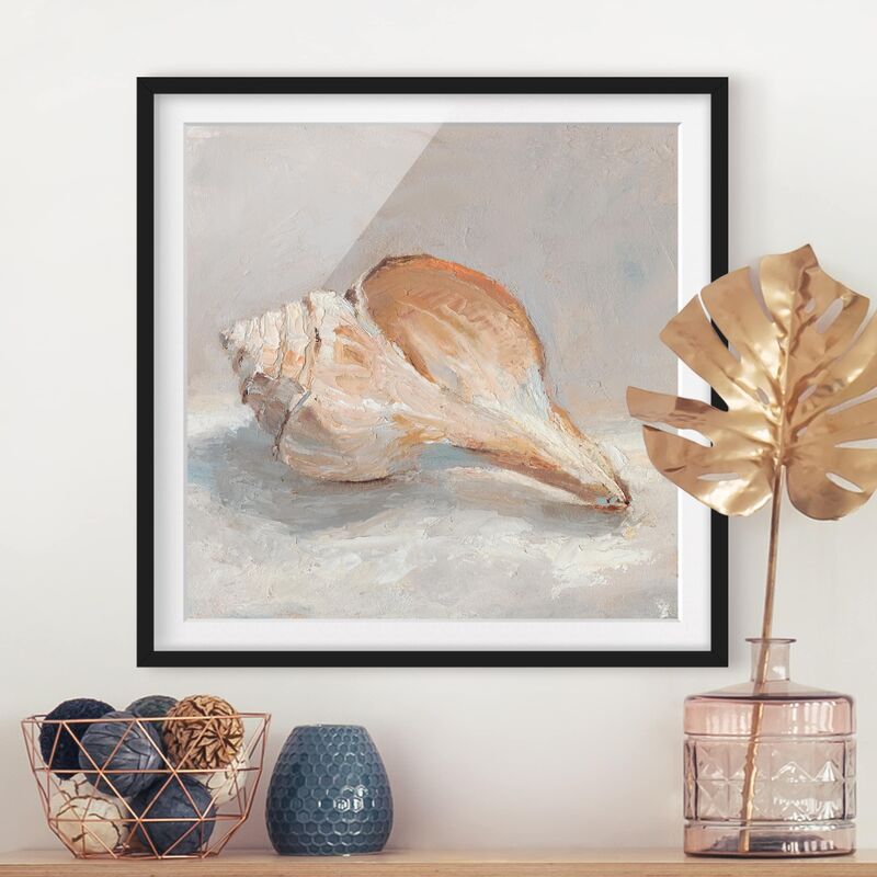 

Póster enmarcado - Shell Study III Dimensión LxA: 50cm x 50cm, Marco: Negro