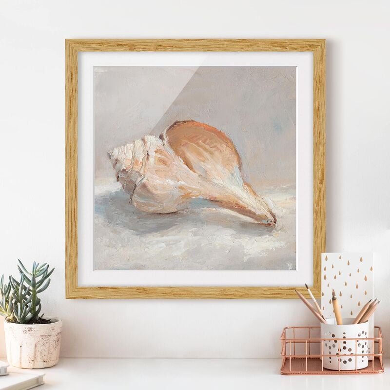 

Póster enmarcado - Shell Study III Dimensión LxA: 70cm x 70cm, Marco: Roble