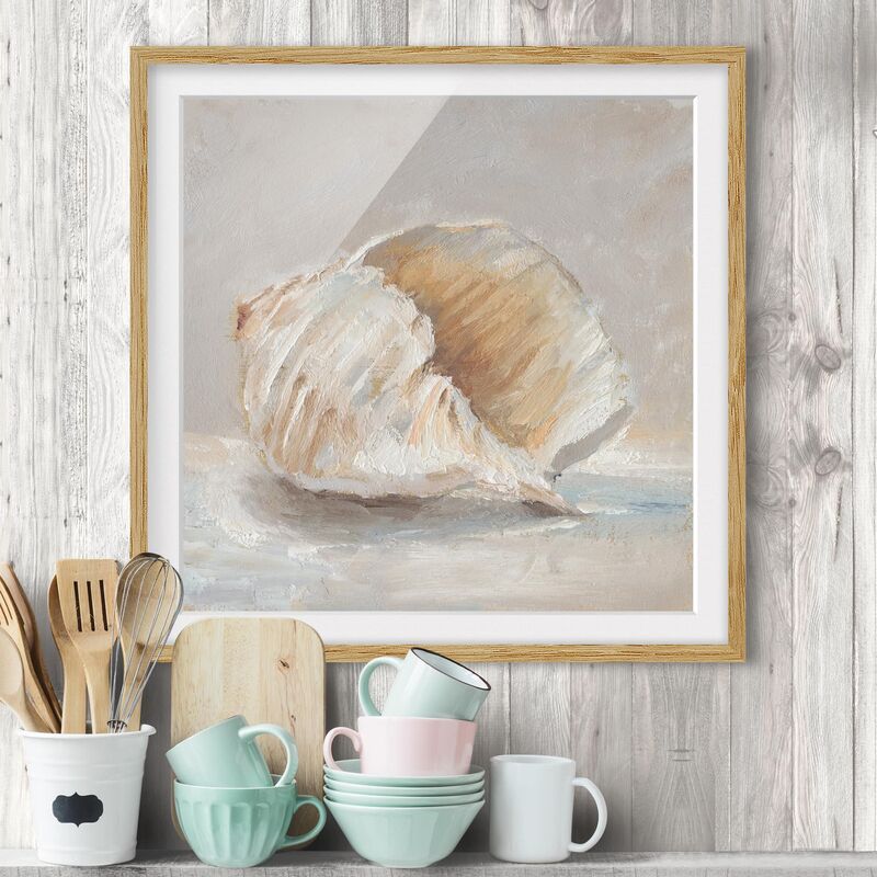 

Póster enmarcado - Shell Study Iv Dimensión LxA: 50cm x 50cm, Marco: Roble