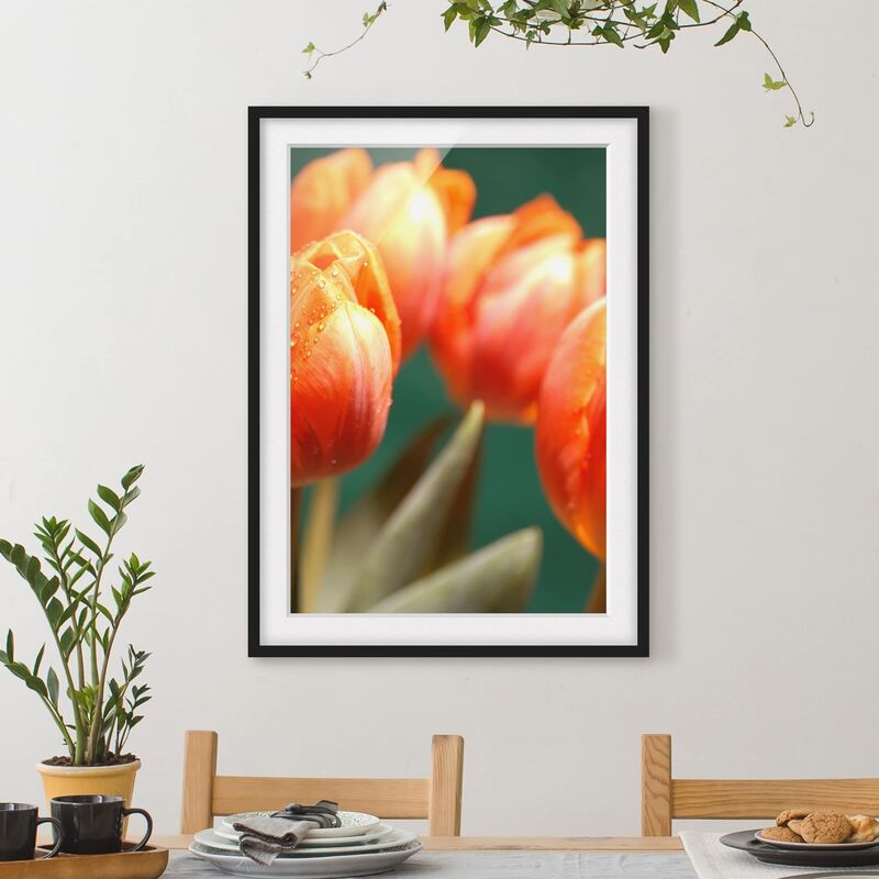 

Póster enmarcado - Shiny Orange Tulips Dimensión LxA: 24cm x 18cm, Marco: Negro