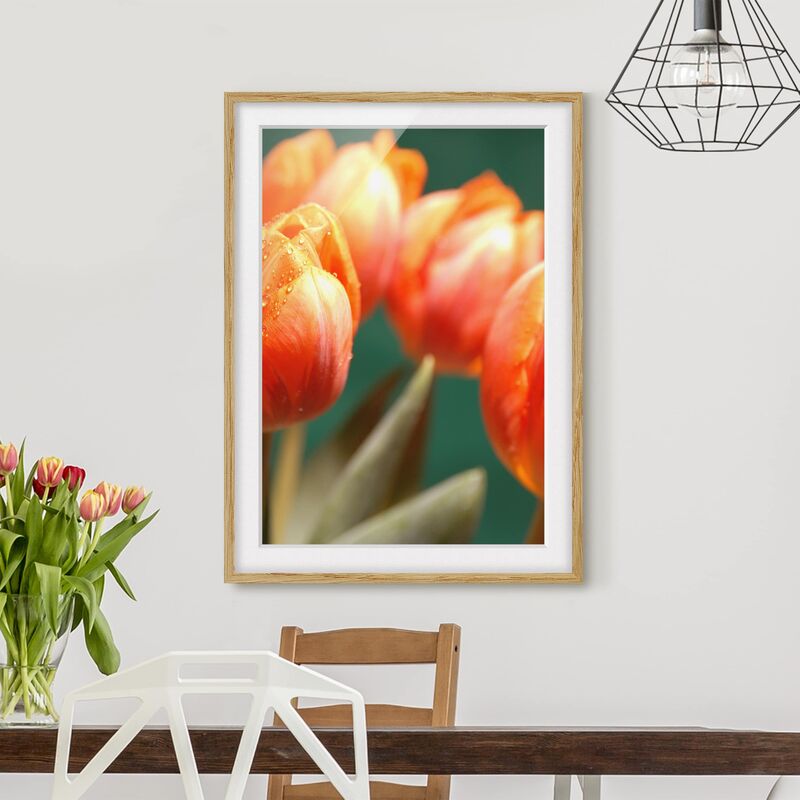 

Póster enmarcado - Shiny Orange Tulips Dimensión LxA: 24cm x 18cm, Marco: Roble