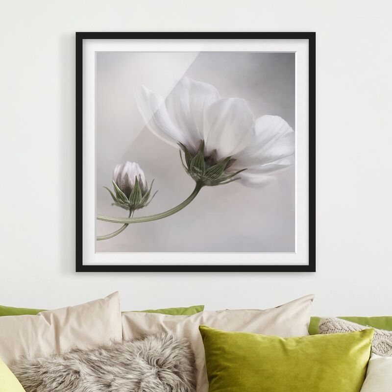 

Póster enmarcado - Simply Cosmos Dimensión LxA: 70cm x 70cm, Marco: Negro