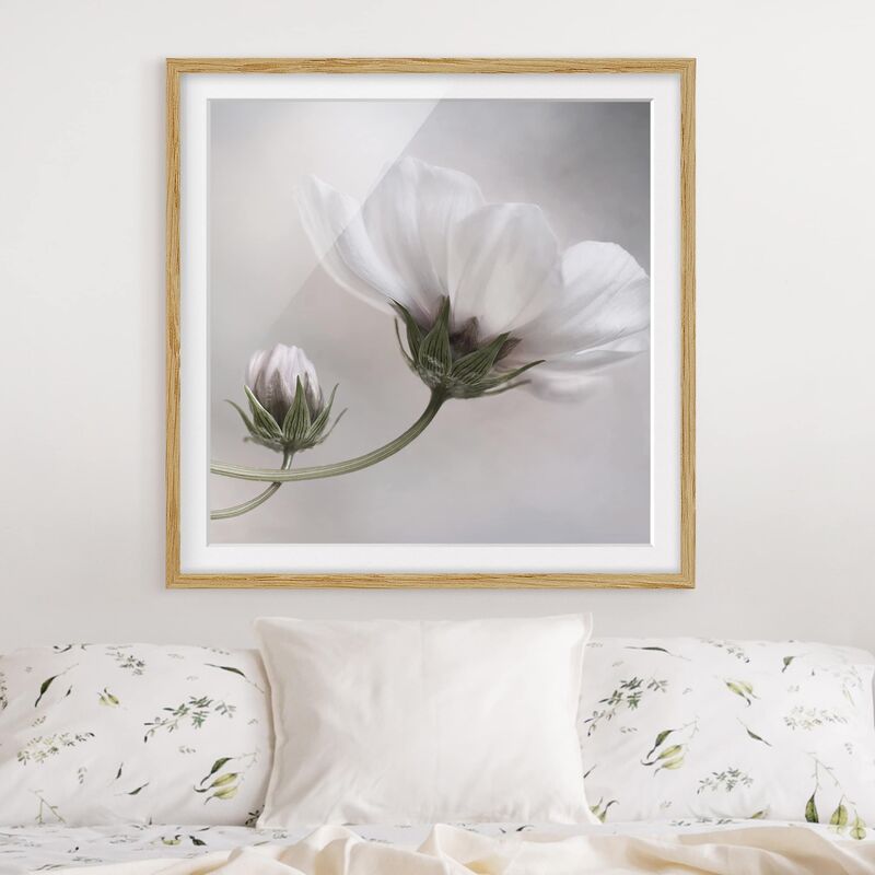 

Póster enmarcado - Simply Cosmos Dimensión LxA: 70cm x 70cm, Marco: Roble