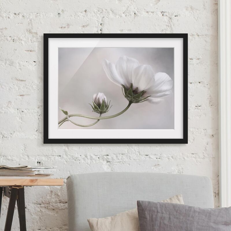 

Póster enmarcado - Simply Cosmos Dimensión LxA: 30cm x 40cm, Marco: Negro