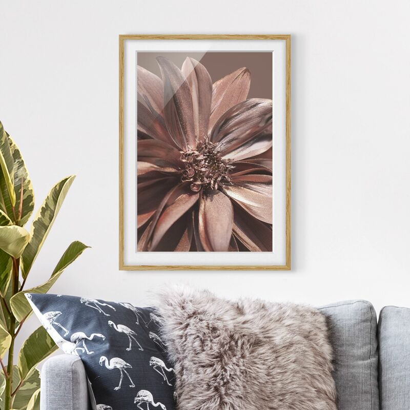 

Póster enmarcado - Sogno di dalia dorata di rame Dimensión LxA: 40cm x 30cm, Marco: Roble