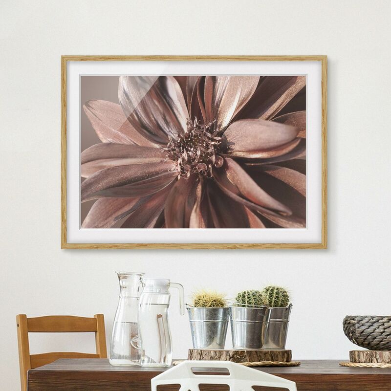 

Póster enmarcado - Sogno di dalia dorata di rame Dimensión LxA: 50cm x 70cm, Marco: Roble