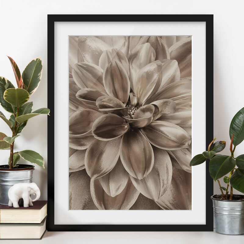 

Póster enmarcado - Sogno di dalie in bronzo Dimensión LxA: 55cm x 40cm, Marco: Negro