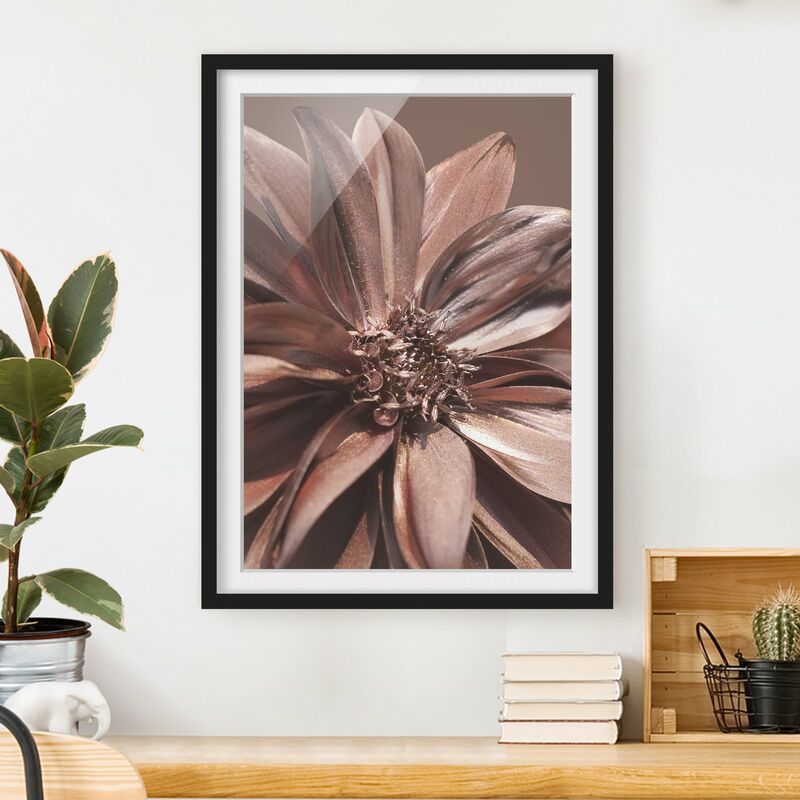 

Póster enmarcado - Sogno di dalia dorata di rame Dimensión LxA: 70cm x 50cm, Marco: Negro