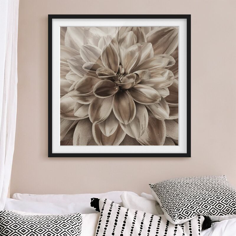 

Póster enmarcado - Sogno di dalie in bronzo Dimensión LxA: 50cm x 50cm, Marco: Negro