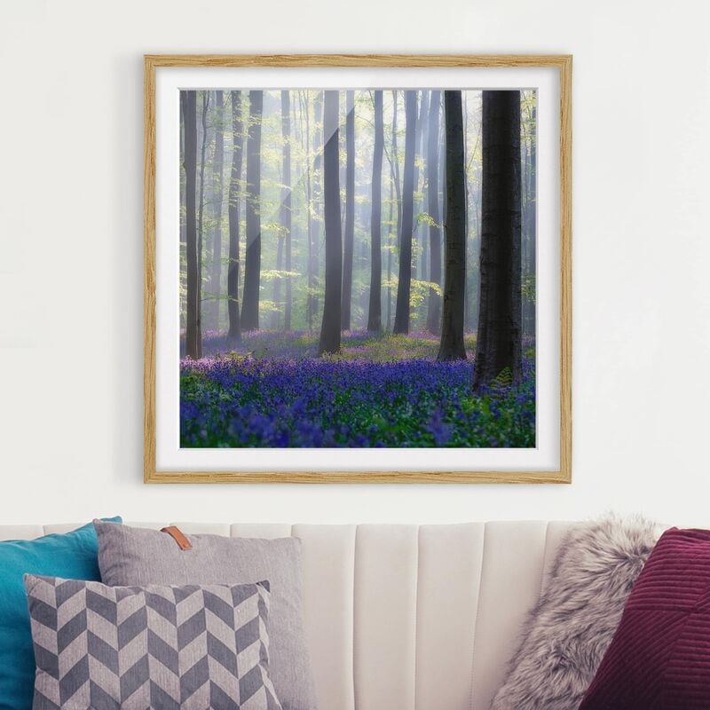 

Póster enmarcado - Spring Day In The Forest Dimensión LxA: 70cm x 70cm, Marco: Roble