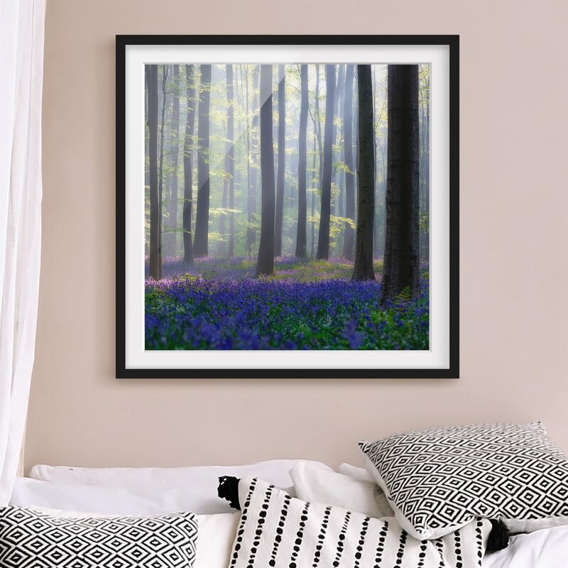 

Póster enmarcado - Spring Day In The Forest Dimensión LxA: 30cm x 30cm, Marco: Negro