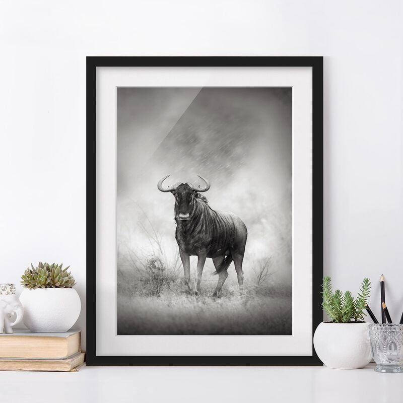 

Póster enmarcado - Staring Wildebeest Dimensión LxA: 24cm x 18cm, Marco: Negro