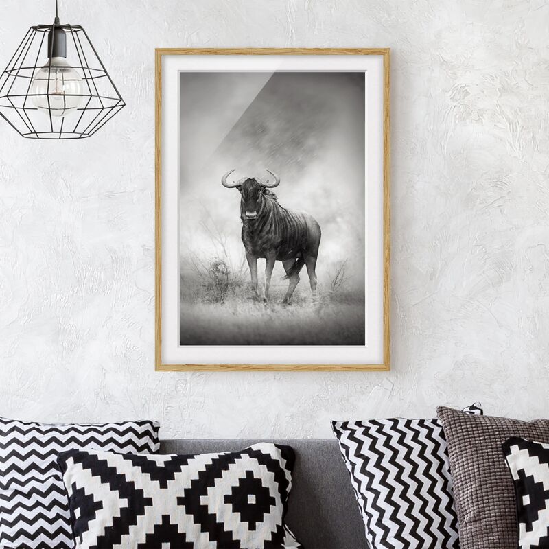 

Póster enmarcado - Staring Wildebeest Dimensión LxA: 24cm x 18cm, Marco: Roble
