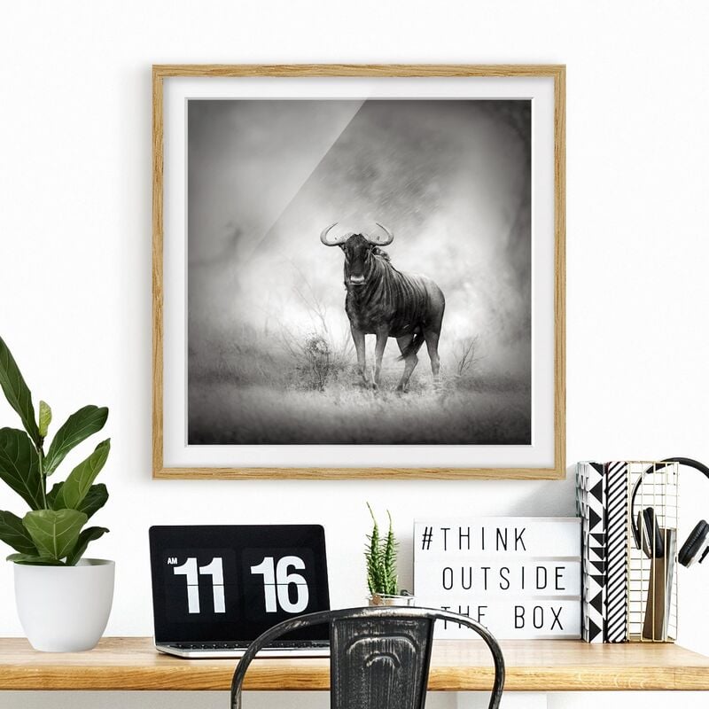 

Póster enmarcado - Staring Wildebeest Dimensión LxA: 70cm x 70cm, Marco: Roble