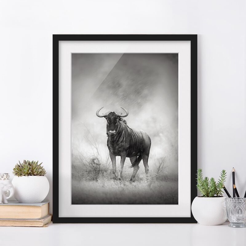 

Póster enmarcado - Staring Wildebeest Dimensión LxA: 24cm x 18cm, Marco: Negro