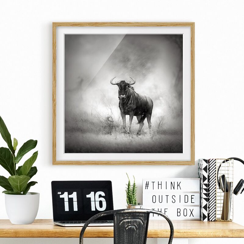 

Póster enmarcado - Staring Wildebeest Dimensión LxA: 20cm x 20cm, Marco: Roble