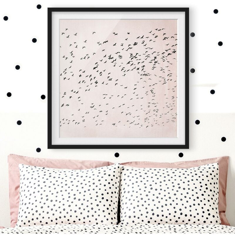 

Póster enmarcado - Stormo di uccelli al tramonto Dimensión LxA: 70cm x 70cm, Marco: Negro