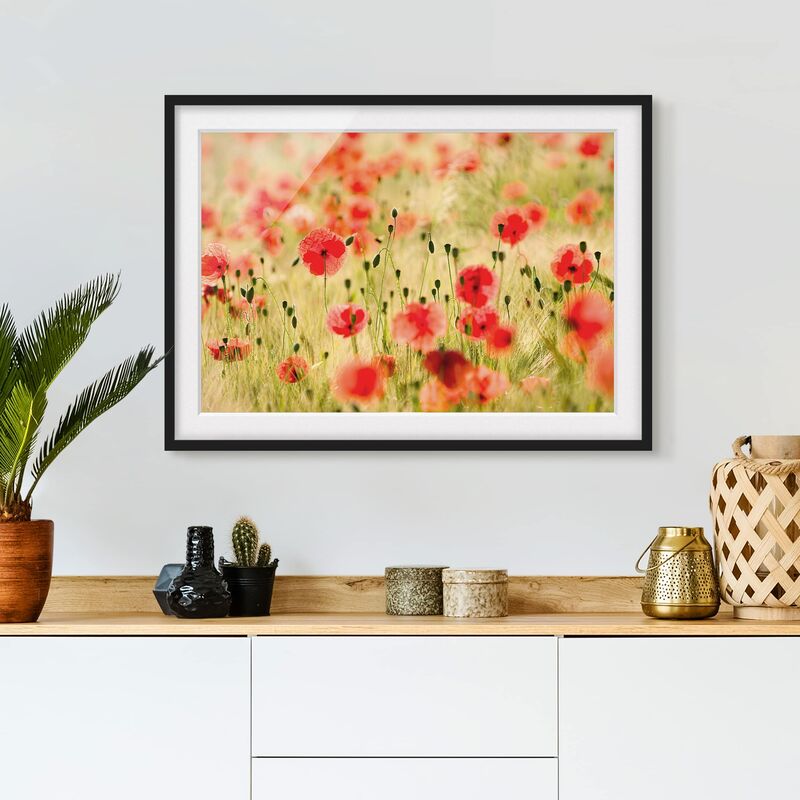 

Póster enmarcado - Summer Poppies Dimensión LxA: 70cm x 100cm, Marco: Negro