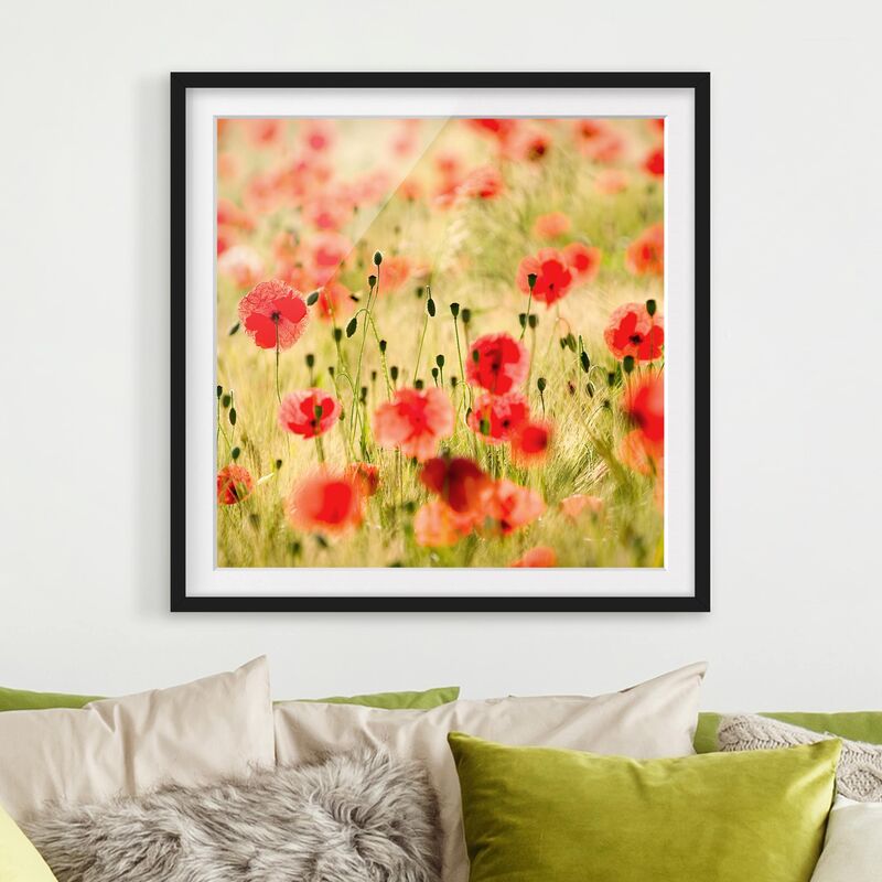 

Póster enmarcado - Summer Poppies Dimensión LxA: 70cm x 70cm, Marco: Negro