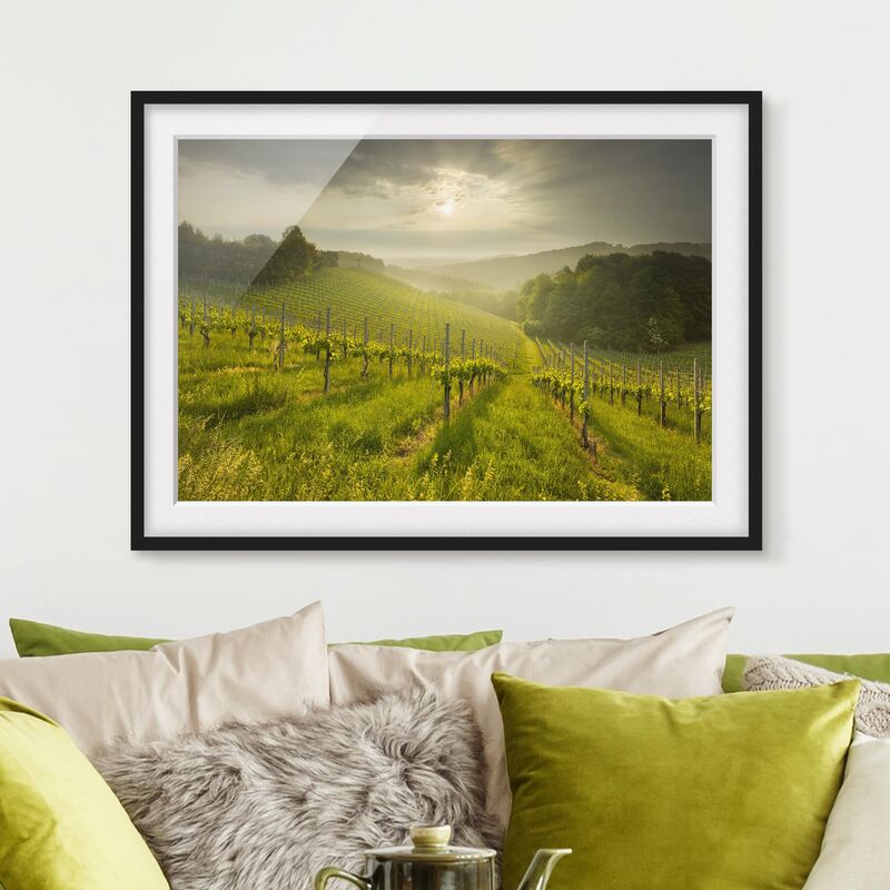 

Póster enmarcado - Sunrays Vineyard Dimensión LxA: 18cm x 24cm, Marco: Negro