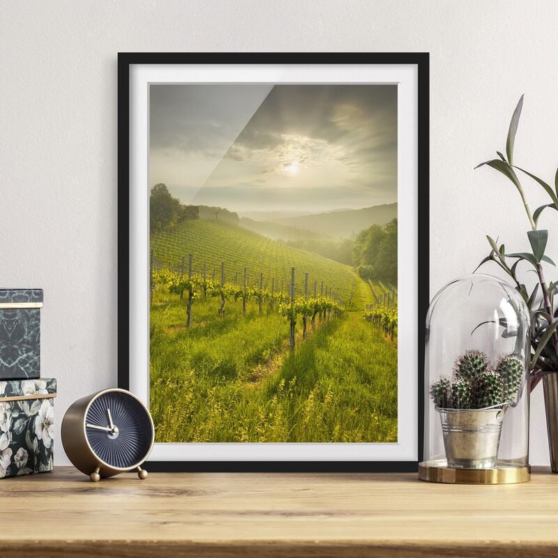 

Póster enmarcado - Sunrays Vineyard Dimensión LxA: 100cm x 70cm, Marco: Negro