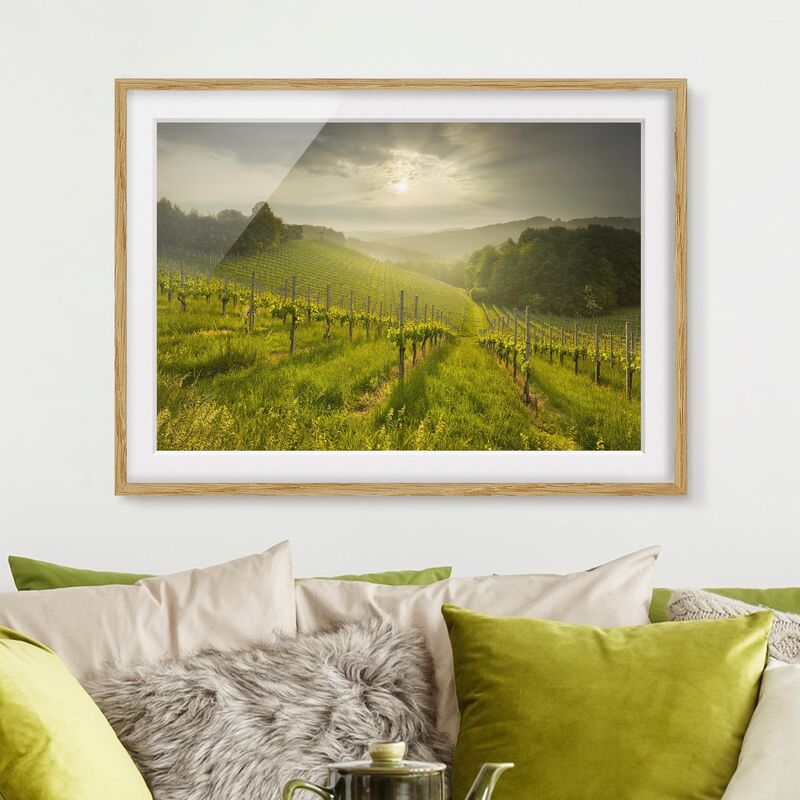 

Póster enmarcado - Sunrays Vineyard Dimensión LxA: 70cm x 100cm, Marco: Roble