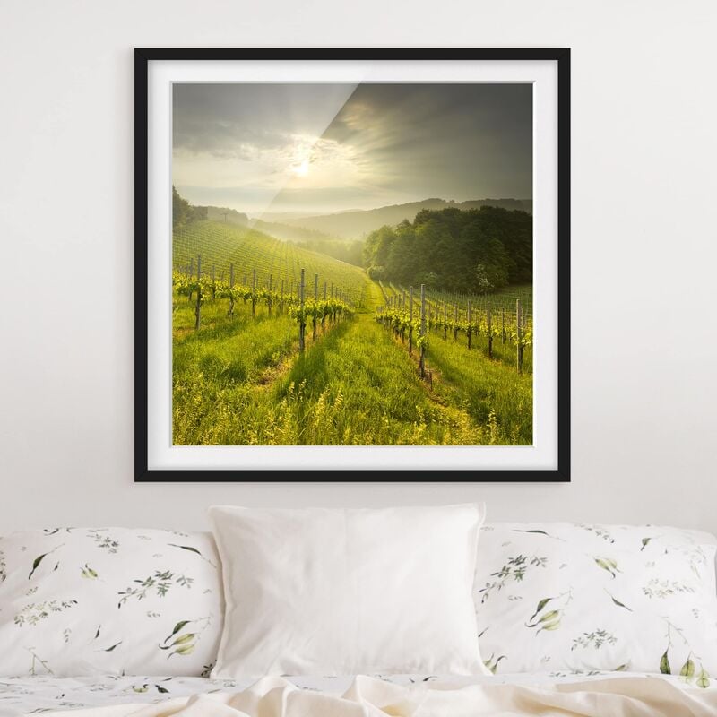 

Póster enmarcado - Sunrbeams Vineyard Dimensión LxA: 20cm x 20cm, Marco: Negro