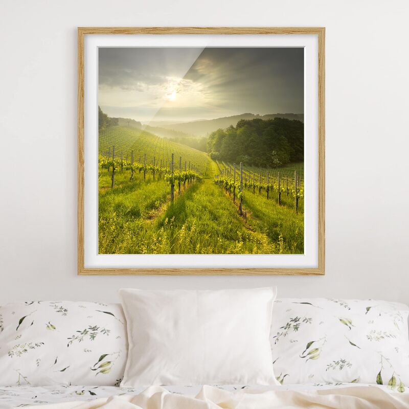 

Póster enmarcado - Sunrbeams Vineyard Dimensión LxA: 70cm x 70cm, Marco: Roble