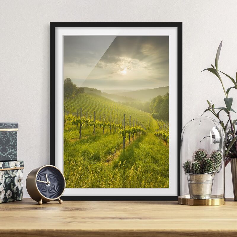 

Póster enmarcado - Sunrays Vineyard Dimensión LxA: 24cm x 18cm, Marco: Negro